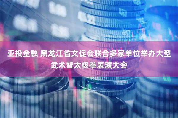 亚投金融 黑龙江省文促会联合多家单位举办大型武术暨太极拳表演大会
