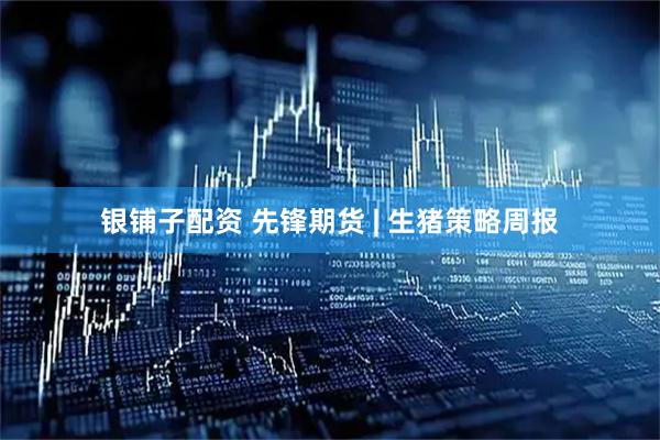 银铺子配资 先锋期货 | 生猪策略周报