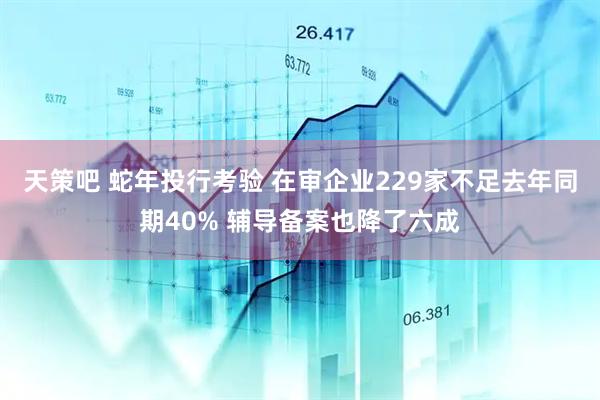 天策吧 蛇年投行考验 在审企业229家不足去年同期40% 辅导备案也降了六成