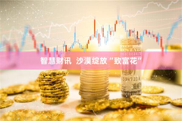 智慧财讯  沙漠绽放“致富花”