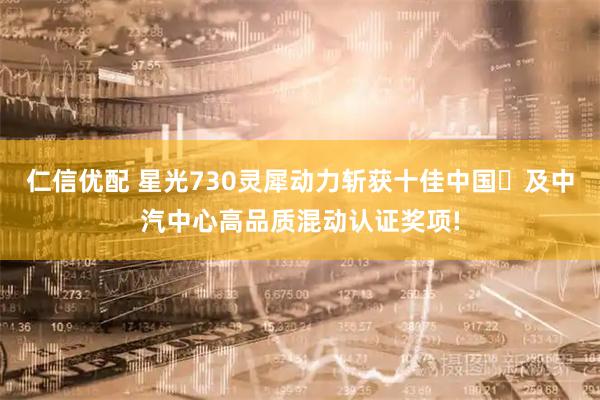 仁信优配 星光730灵犀动力斩获十佳中国⼼及中汽中心高品质混动认证奖项!